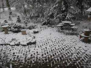spring snow 2011 001